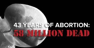 AFLC_Abortion_Banner